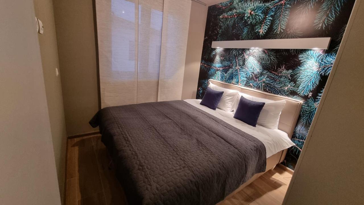 פאלה Apartman Winter מראה חיצוני תמונה
